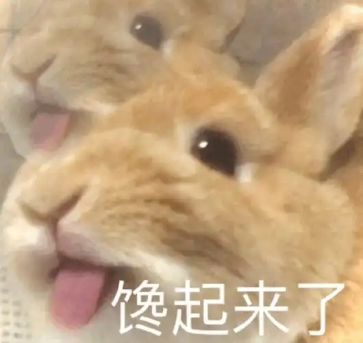 馋起来了_起来表情