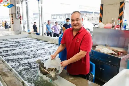 好消息!中国—东盟水产批发市场开业 爱吃水产品的市民有口福了
