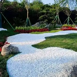 50斤白色石子鹅卵石花园原石天然庭院阳台造景铺地路景观小白石头