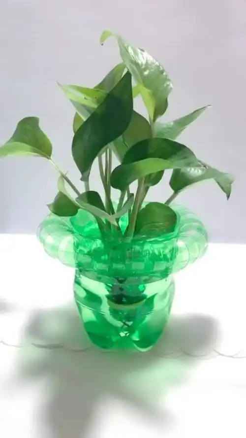 不要的雪碧瓶~让它换个身份留在你身边#手工制作