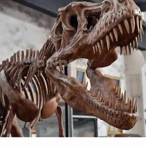 人民币|恐龙化石_网易订阅