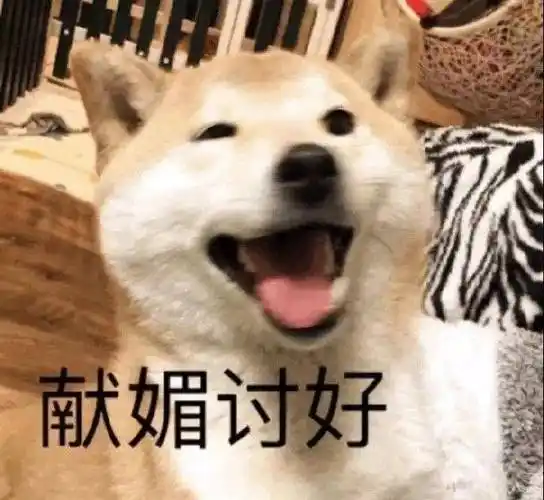 献媚讨好一组汪星人doge表情包狗子表情