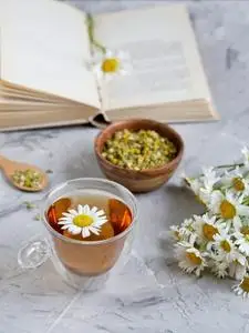 杯茶与甘菊花在灰色背景, 读书, 自由时间概念照片