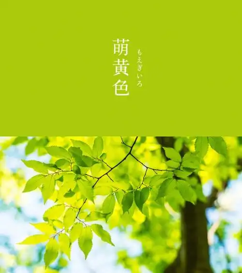 二月的颜色传统的高级感3