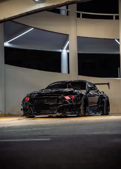 分享下自己的玩具#分享一张你爱车的照片 #黑武士 #野马 # - 抖音