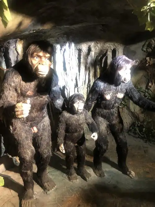 这是野人科普馆,这是野人大概形象.