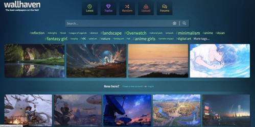 wallhaven丨最好的壁纸资源都在这里