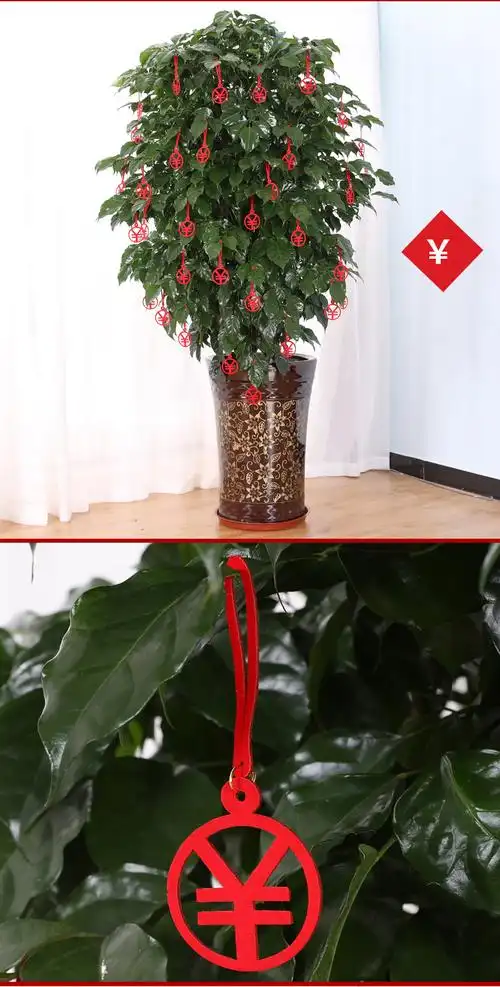 植绒小红灯笼盆景挂饰新年装饰室内外场景布置春节迷你盆栽小挂件