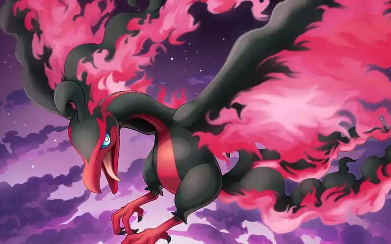 【宝可梦剑盾 对战91】伽勒尔形态火焰鸟有多强_哔哩哔哩_bilibili