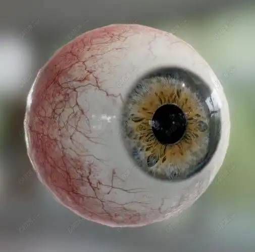 人眼球眼珠眼睛c4d模型