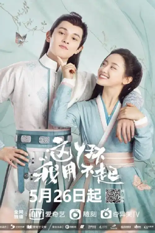 2021年国产大陆电视剧《这丫环我用不起》全24集迅雷下载_小调网_电影