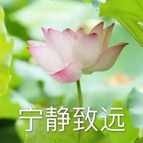 万能的友友有没有带有知足常乐那种成语的头像