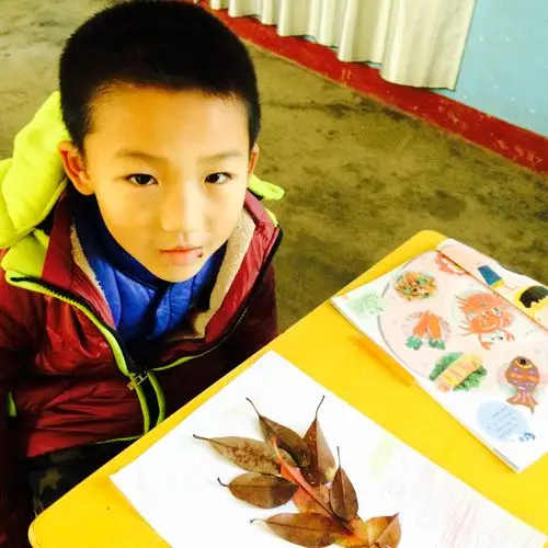 贴树叶 ——小学一年级美术课