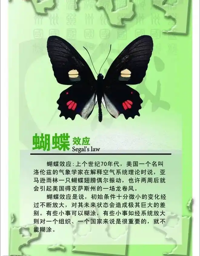 蝴蝶效应 #知识分享 #图文伙伴计划 - 抖音