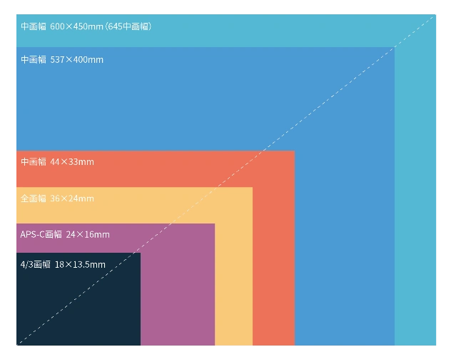 这个图显示了大画幅,中画幅,全画幅及aps-c画幅形式的感光元件大小