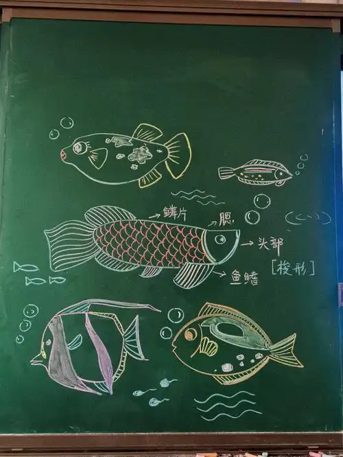 粉笔画鱼
