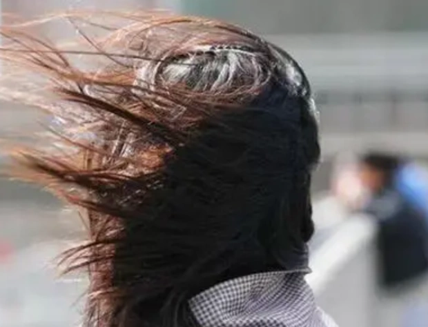 我出去买个菜,看到街上的行人头发在风中凌乱,此刻我体会到了