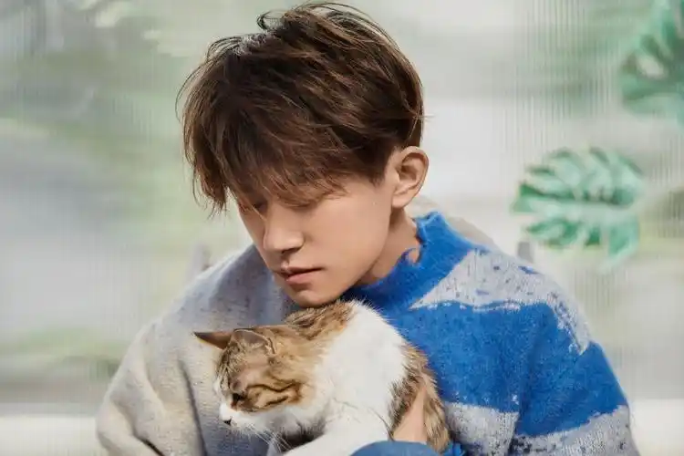 易烊千玺新春写真更新身穿蓝白毛衣,慵懒随意的帅气抱着小猫咪好温柔