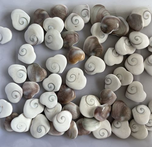 天然太阳贝心形吊坠海螺贝壳化石挂件diy项链毛衣链 可做标本