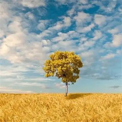 高清正能量励志风景头像图片大全