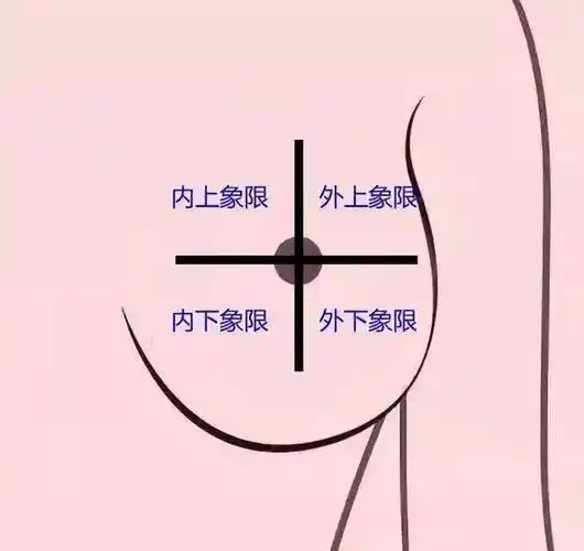 身体这三个部位疼痛,可能是乳腺癌预警_乳房_肿瘤_女性