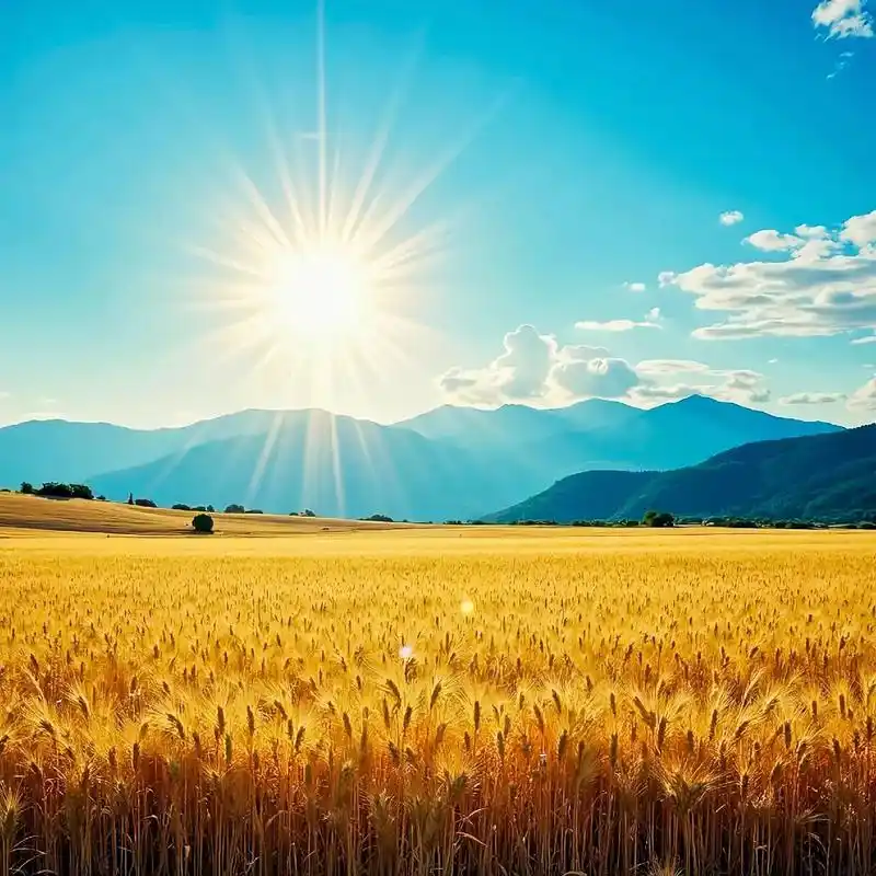 提升运势的能量头像,风景头像,风景头像带来好运气,治愈系风景