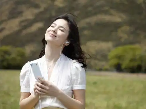 oppo音乐手机宋慧乔做广告的那款直板机型号是什么?