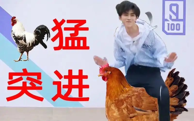 【蔡徐坤】突鸡猛进