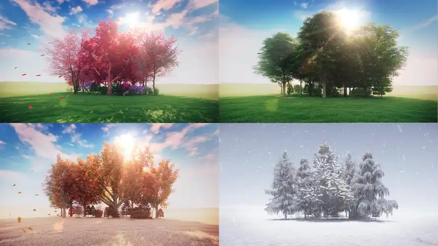 春夏秋冬四季变化4k