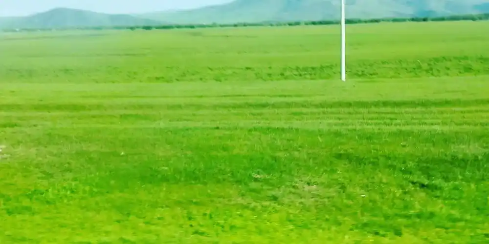 天下大草原一望无际.