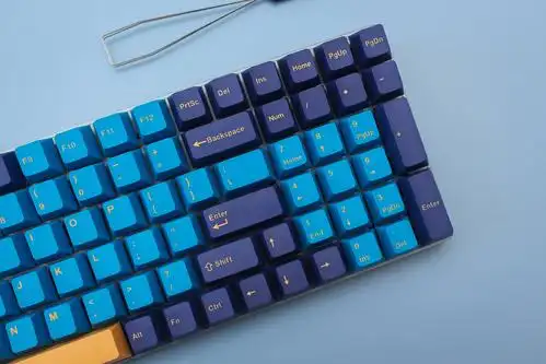 让你的键盘不普通,韩度pbt二色鹦鹉螺键帽体验