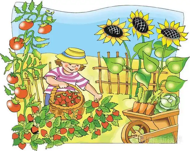 采摘草莓的小农家男孩插画-正版商用图片0mslyc-摄图新视界