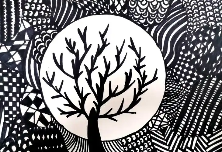 六年级《线描中的黑白对比》学生课堂优秀作业展示(一)