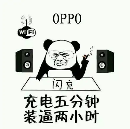 充电五分钟,装逼两小时(oppo,闪充)_装逼_oppo_闪充表情