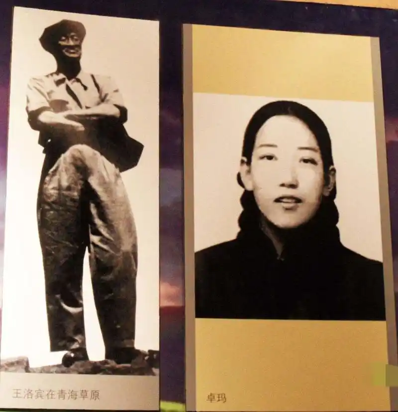 有,嫁给一位县长,32岁时去世|在那遥远地方|王洛宾|萨耶卓玛_新浪新闻