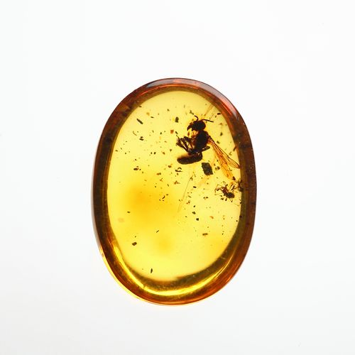 上石清灵天然波罗的海琥珀虫珀戒面俄料带虫镶嵌戒指手饰