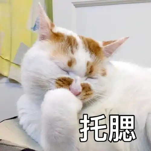 萌宠喵星人托腮思考搞怪逗gif动图_动态图_表情包下载_soogif