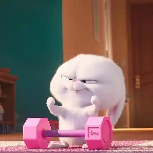 大家有没有爱宠大机密的兔子雪球snowball的头像啊