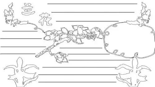 兰花手抄报