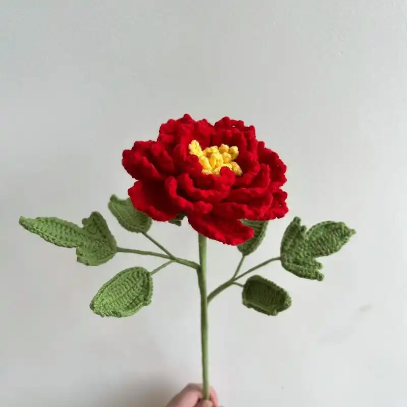 阿富汗牡丹花钩织(附解)图解看不懂可以去手工178小荷主页学 - 抖音