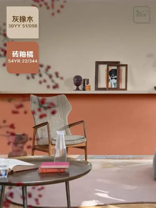 多乐士##乳胶漆