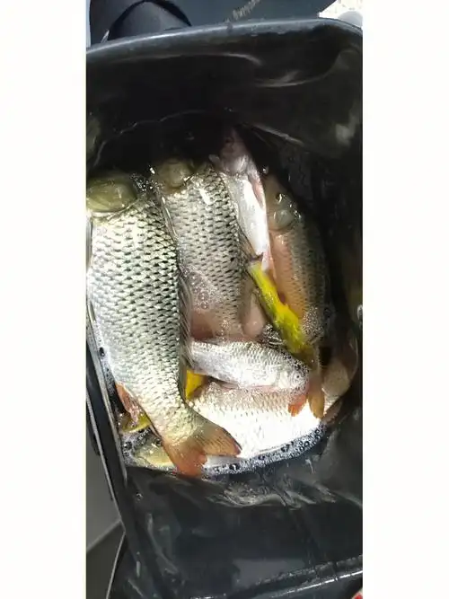 小玩儿一会儿,爆个护.