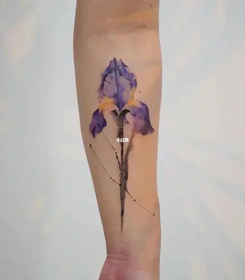 墨尔本61koizhou61鸢尾花61纹身