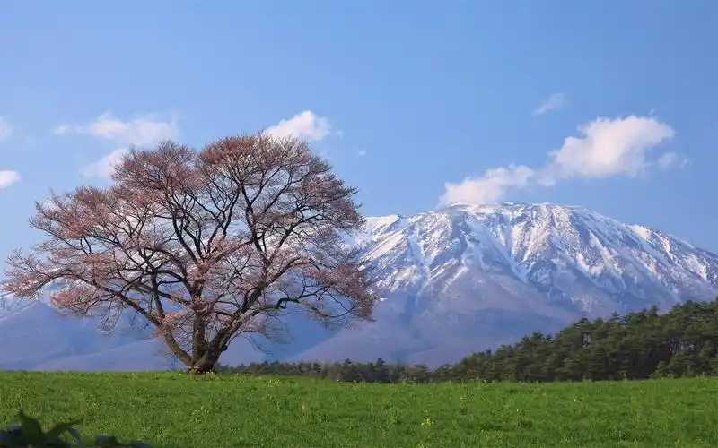 高清电脑桌面壁纸风景 精选清新大自然好看的唯美意境蓝色风景高清