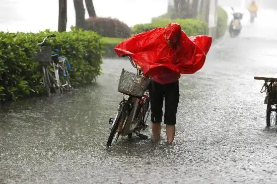图文:市民顶着大风大雨推车前行