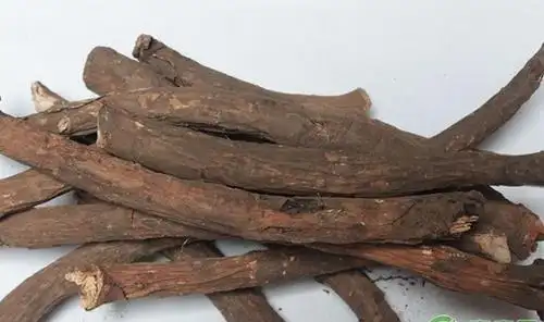 川赤芍植物学特性,前景展望,栽培方法