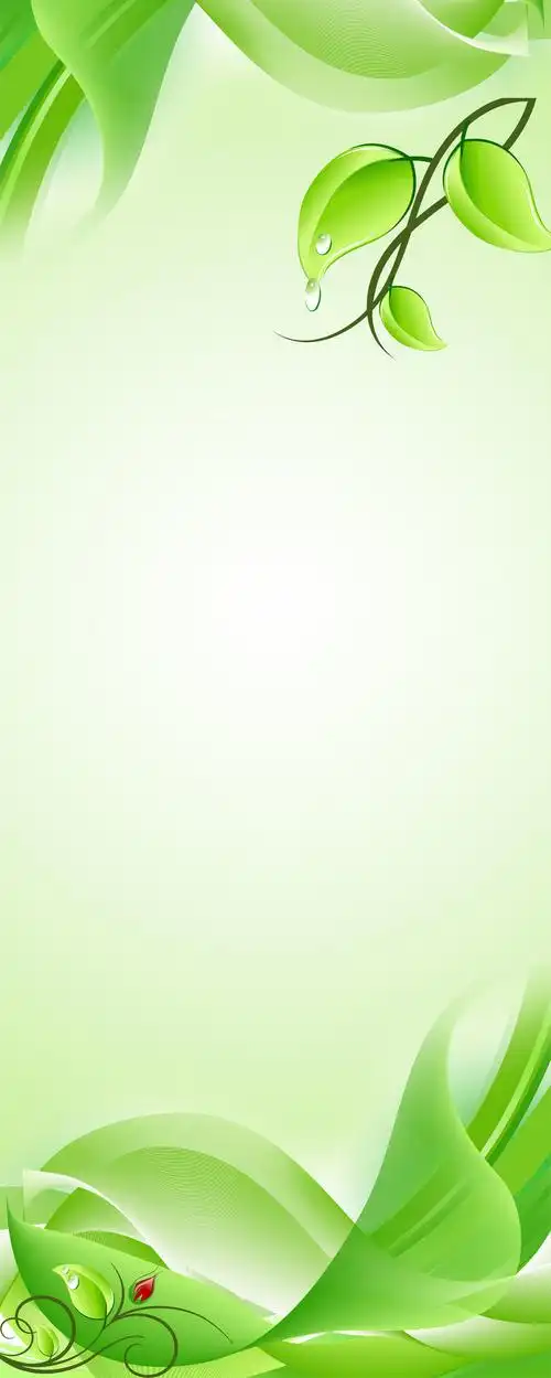 简单清新绿色展架展板背景