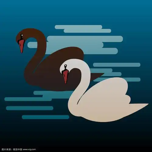 水上的黑天鹅和白天鹅