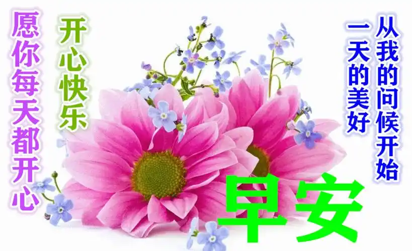 早上好动态表情图片大全,早晨好动图美图大全