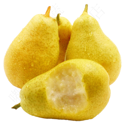 烟台太婆梨葫芦梨大头梨子当季茄梨水果软梨新鲜啤梨孕妇水果 【精选